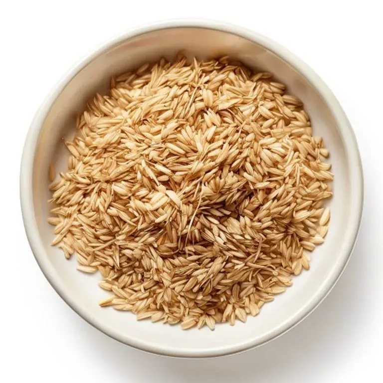 Barley Malt 麦芽 verified sprouted grain overview photo for bulk food-herb ingredient sourcing from Bozhou China