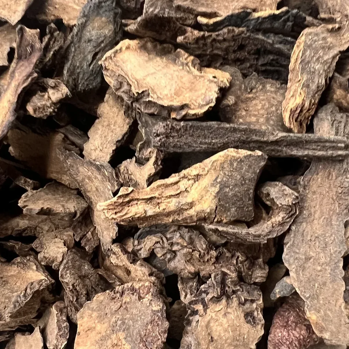 Cynomorium Stem 锁阳 close detail texture photo from Bozhou China