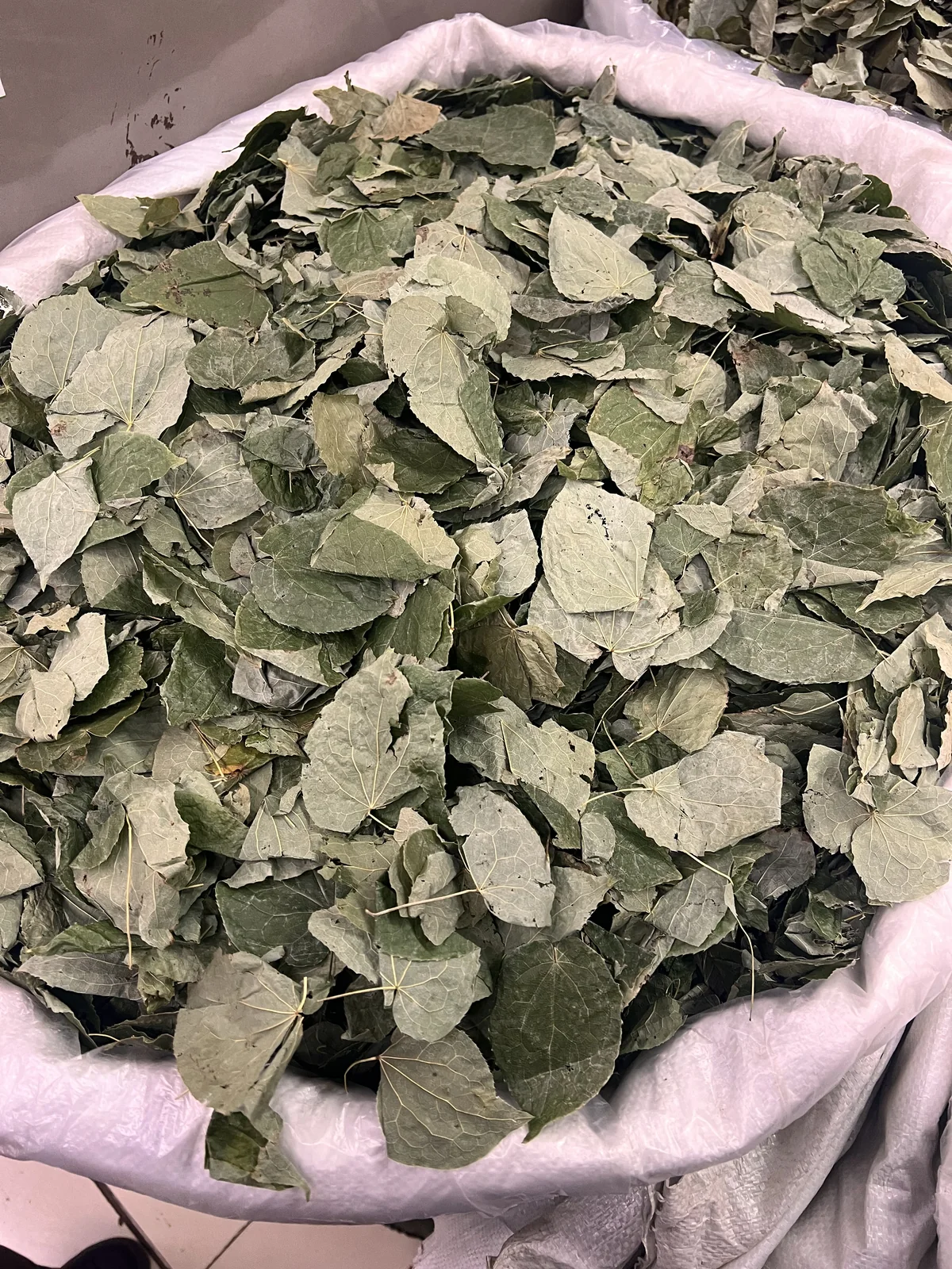 Epimedium Herb 淫羊藿 wholesale product image