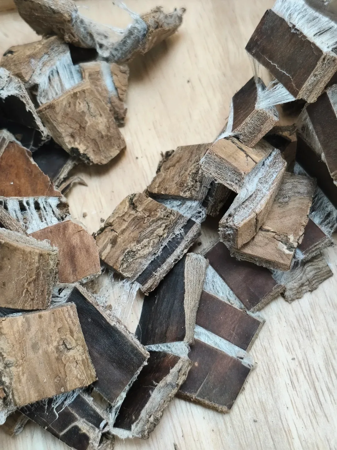 Eucommia Bark 杜仲 wholesale product image