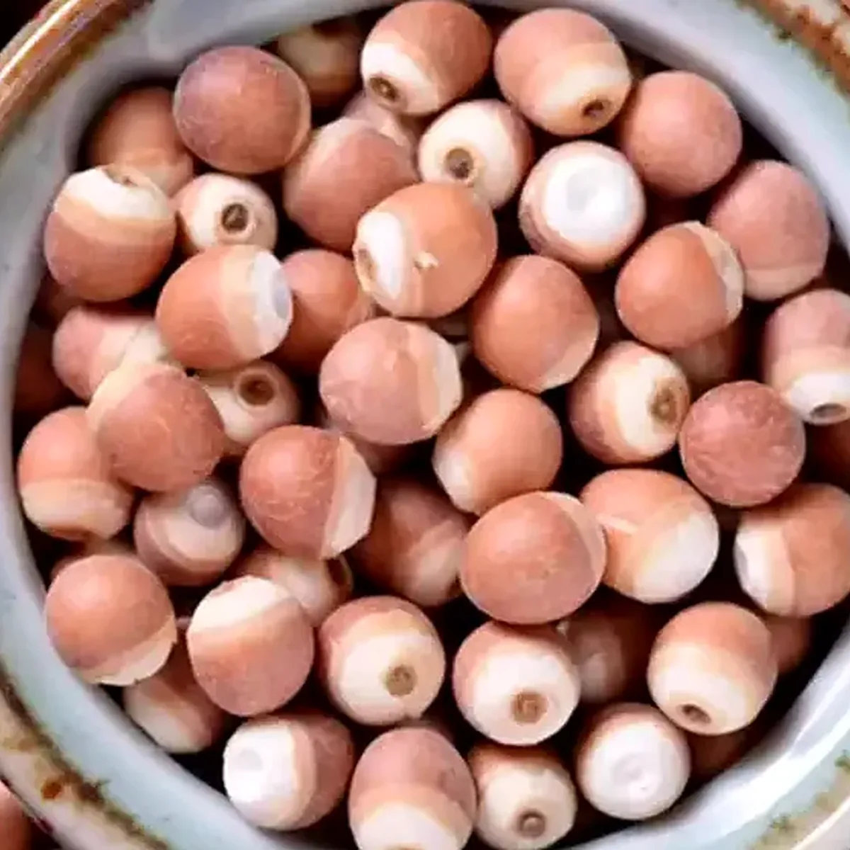 Euryale Seed 芡实 display presentation photo from Bozhou China